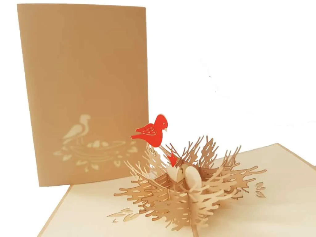 Birds Pop Up Cards Coza Card Unique Gift Greeting Cards