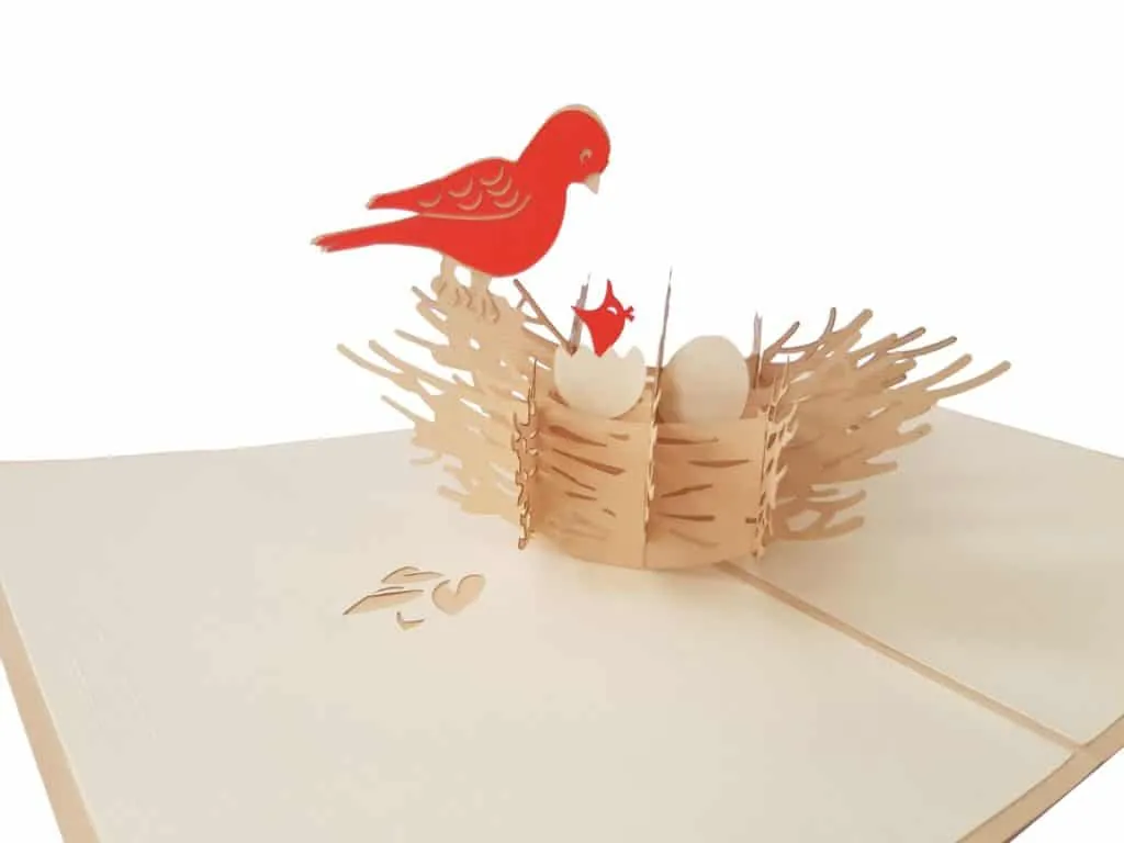 Birds Pop Up Cards Coza Card Unique Gift Greeting Cards 2