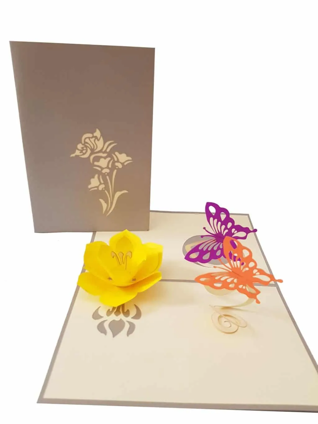 Butterfly Pop Up Cards Coza Card Unique Gift Greeting Cards